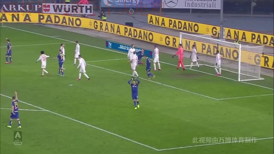 万博体育综合版全面解析 万博体育综合版全面解析